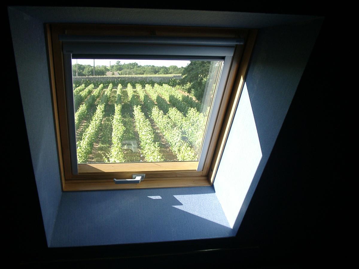 Au Clos De L'Epinay Vouvray Exteriör bild