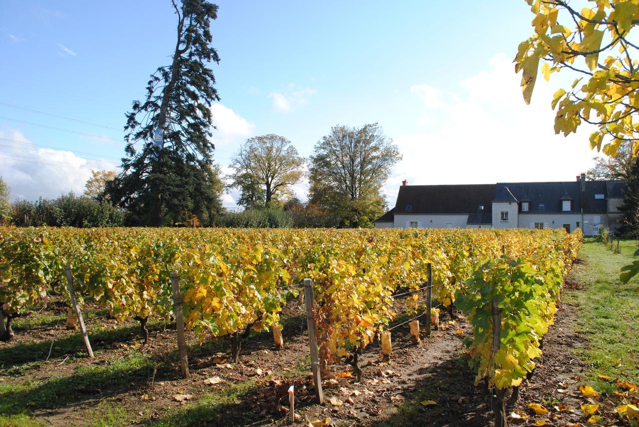 Au Clos De L'Epinay Vouvray Exteriör bild